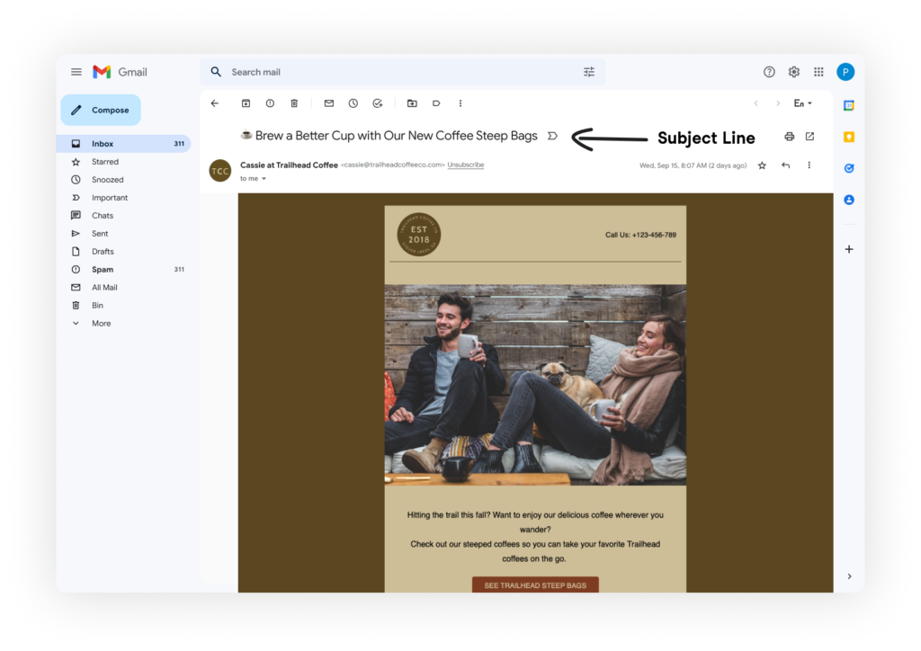 write-email-subject-lines-that-get-opened-examples