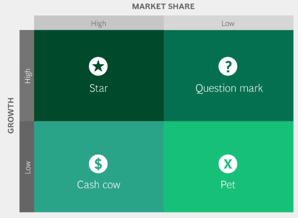 Screenshot of the BCG matrix